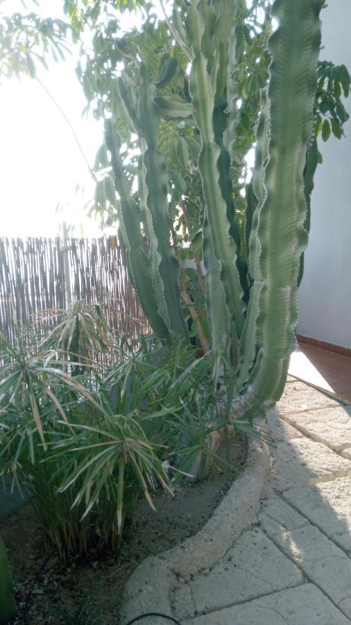 Apartamento Pardela Costa Adeje  Buitenkant foto