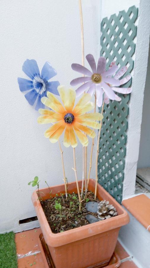 Apartamento Pardela Costa Adeje  Buitenkant foto